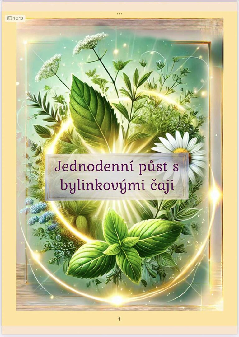 Jednodenní půst-ukázka PDF12